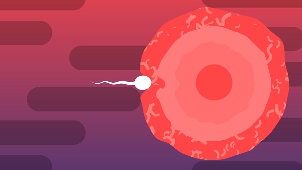 Ů�Բ���,Ů�Բ���ԭ��