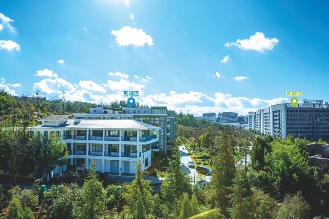 ������ר�á����������Ӹ����Ƶ���ֳҽѧ�;�׼��̥��30����ٴ���������������ؿ�����